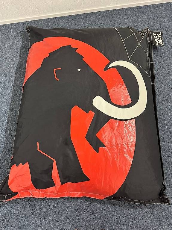 Poltrone: Mammut Sitzsack unikat – Usato da Rorbas venduto da Astrafix