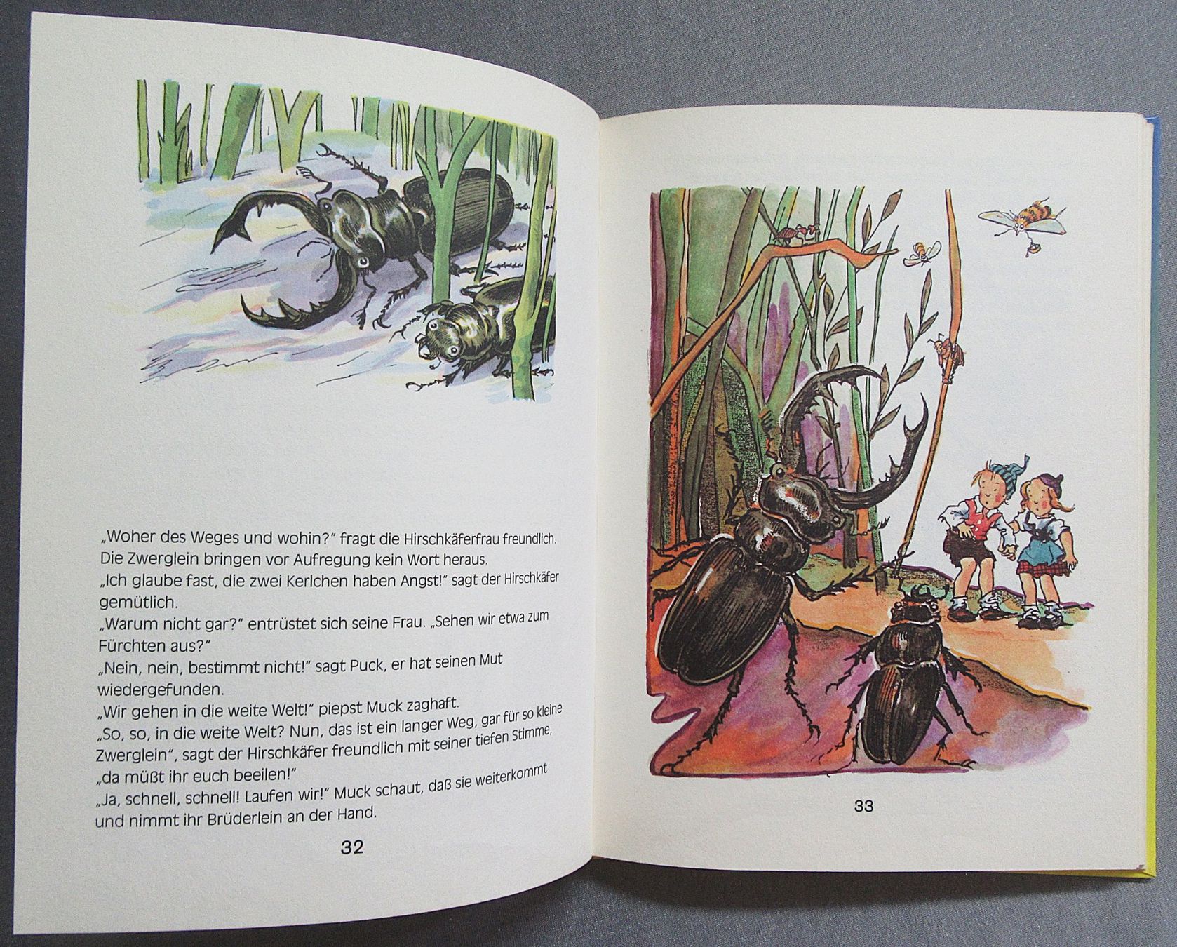 Libri: Abenteuer mit Puck und Muck - Geschichte von Hilde Forster – Usato da Auenstein venduto da Padabimbim 3