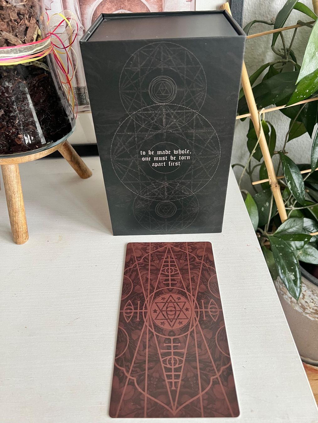 Spiele: Terra Volatile Tarot Karten Deck Collector 'Darkest' Edition – Neu (gemäss Beschreibung) aus Effretikon von YaMn 3