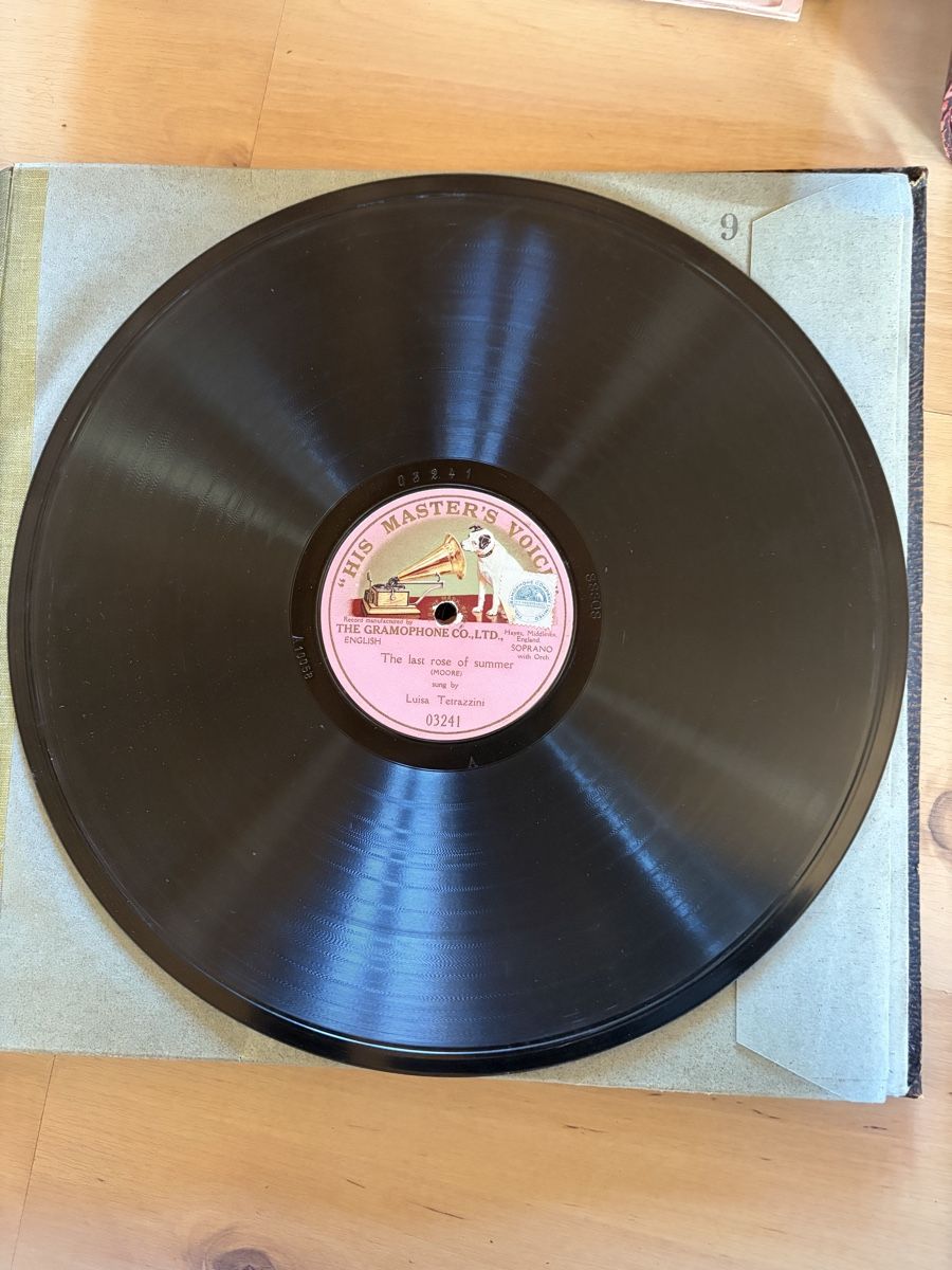 Dischi in vinile: Sammlung Schellackplatten in Alben, gemischte Auswahl – Usato da Oberglatt ZH venduto da sibsy01 3