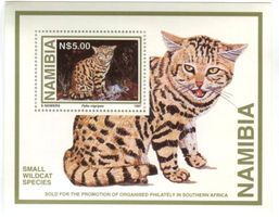 Block "Schwarzfusskatze". Namibia