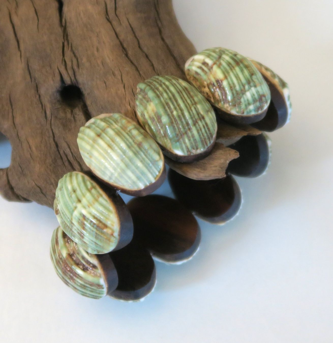 Armbänder & -reifen: Armband Muscheln/Holz – Gebraucht aus Brittnau von marlenestone 1