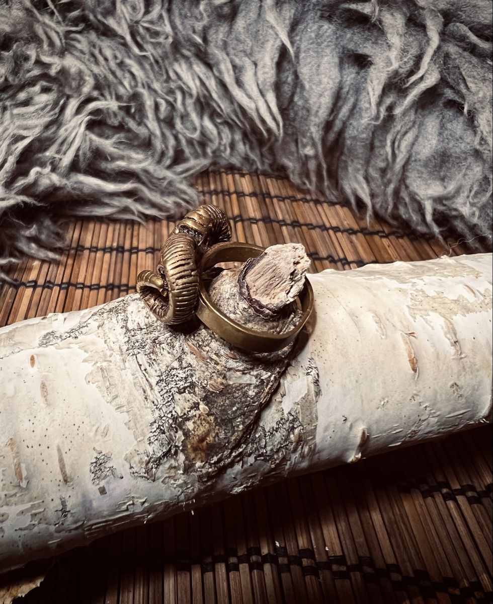 Anelli: Widder Schädel Ring / Ram Skull Ring – Usato da Gossau SG venduto da Harogath333 3