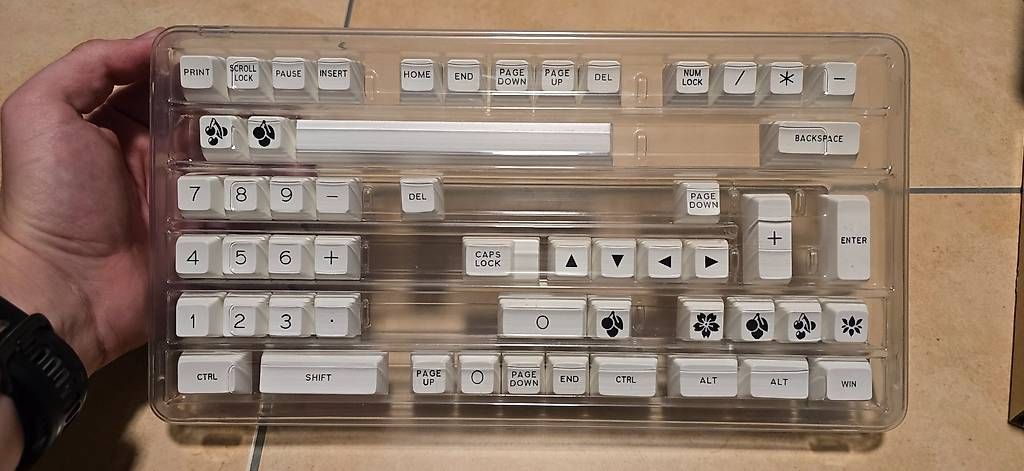 Tastiere: KBDFans Keykaps (ungenutzt) – Nuovo (secondo la descrizione) da Muttenz venduto da SpionRex 2