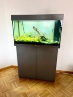 Aquarium Komplettset - Juwel Rio 125 LED schwarz