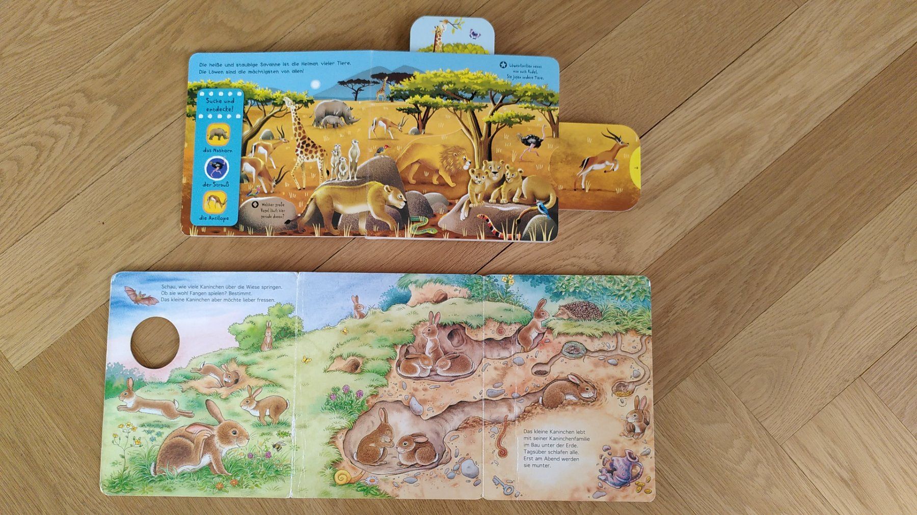Bücher: 2 Kinderbücher mit Schiebern – Gebraucht aus Zürich von Weluma 1