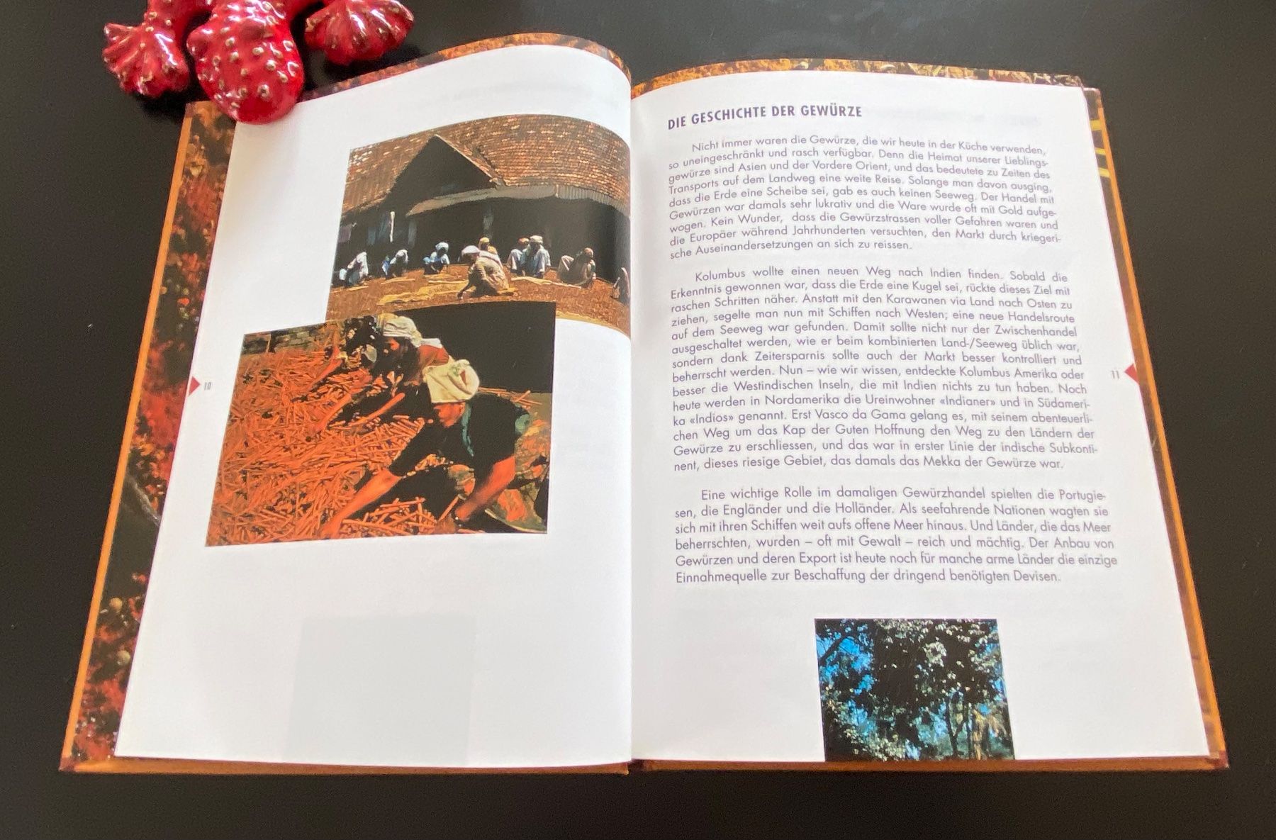 Bücher: CURRY – Gebraucht aus Nussbaumen AG von schuba2000 2