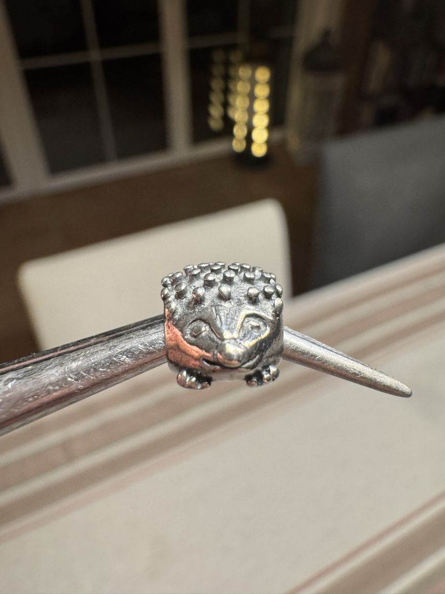 Pandora Ciondoli: Pandora Charm Igel – Usato da Gretzenbach venduto da Miau09