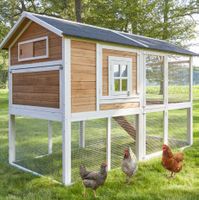 Hühner Stall Voliere Haus Freilauf