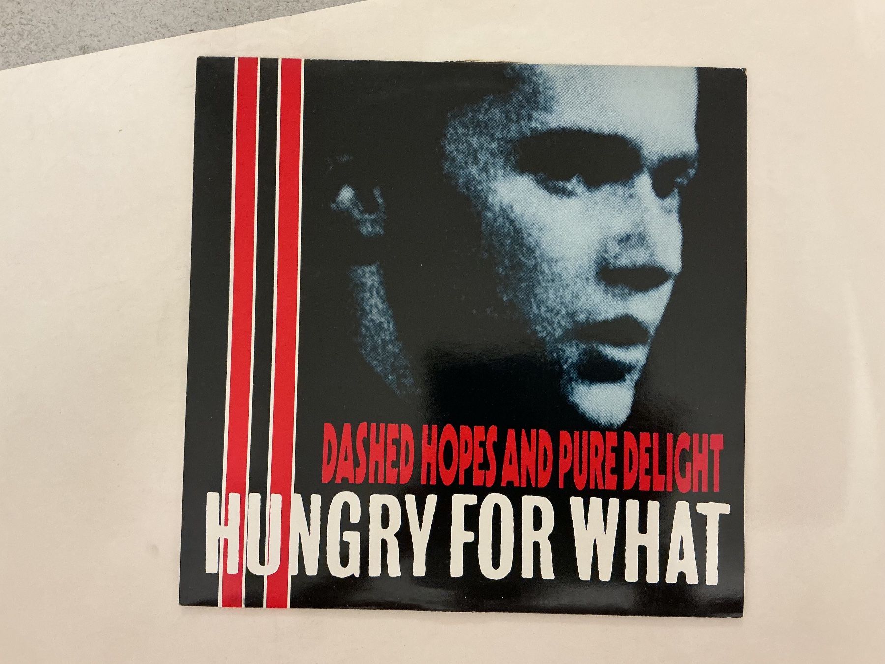 Dischi in vinile: Hungry For That LP - DASHED HOPES AND PURE DELIGHT – Usato da Winterthur venduto da Tumko_7_Vinyl