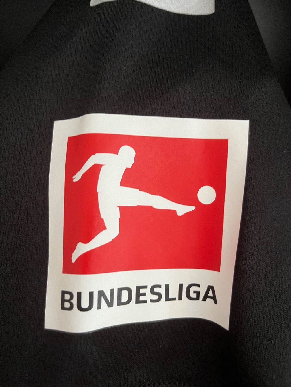 Puma Leibchen & Hosen: Borussia Dortmund Trikot / Thomas Delaney / Signed – Neu (gemäss Beschreibung) aus Näfels von dom_9p7f 3