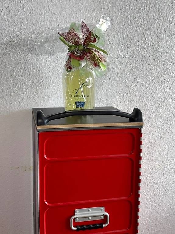 Valigie & Borse: Trolley «Storage»  – Usato da Galgenen venduto da wer_v9fb 1