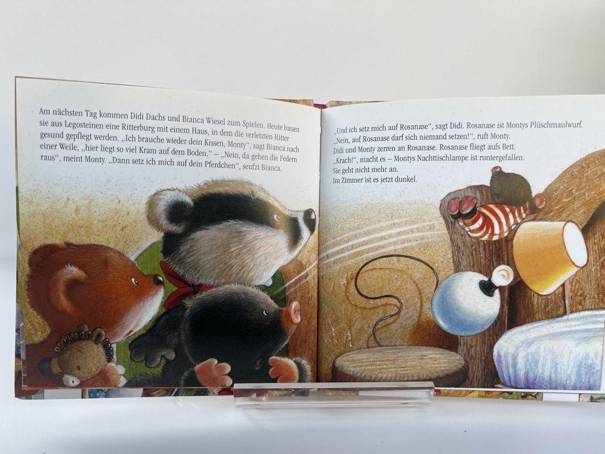Bücher: Kleines Kinderbuch Aufräumen Mach ich morgen – Neu (gemäss Beschreibung) aus Altdorf UR von JanAil 1