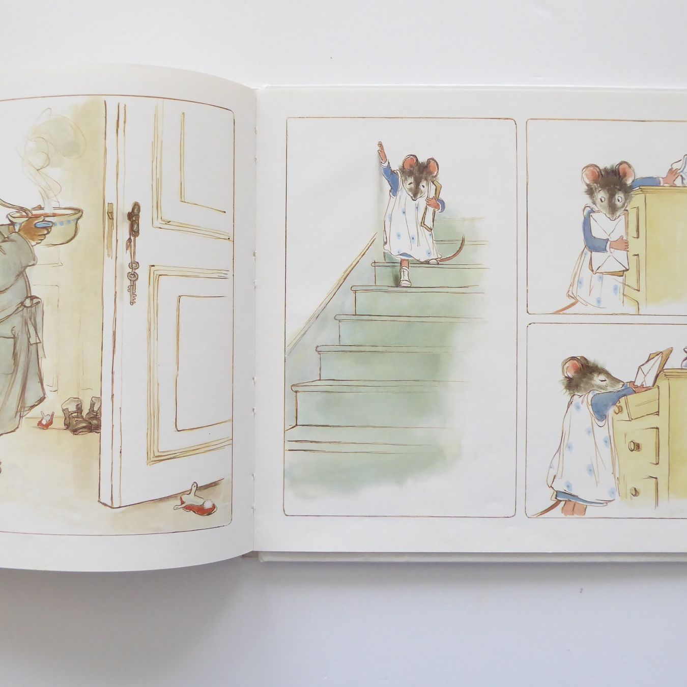 Libri: Mimi und Brumm beim Fotografen – Usato da Basel venduto da Kunterbunt12 4