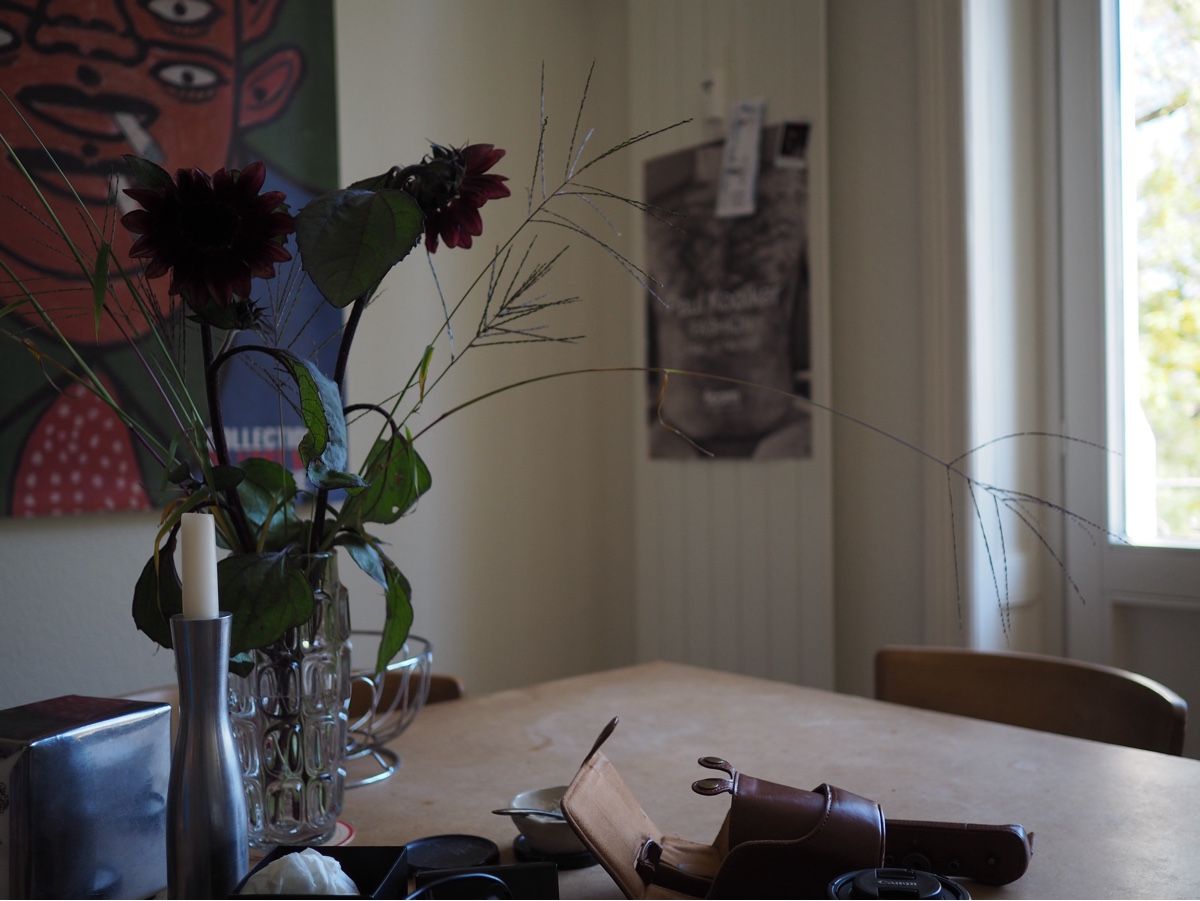 Olympus Fotocamera: Olympus OM-D E-M10 Mark II mit 17mm Objektiv – Usato da Basel venduto da fri_nz9s 7