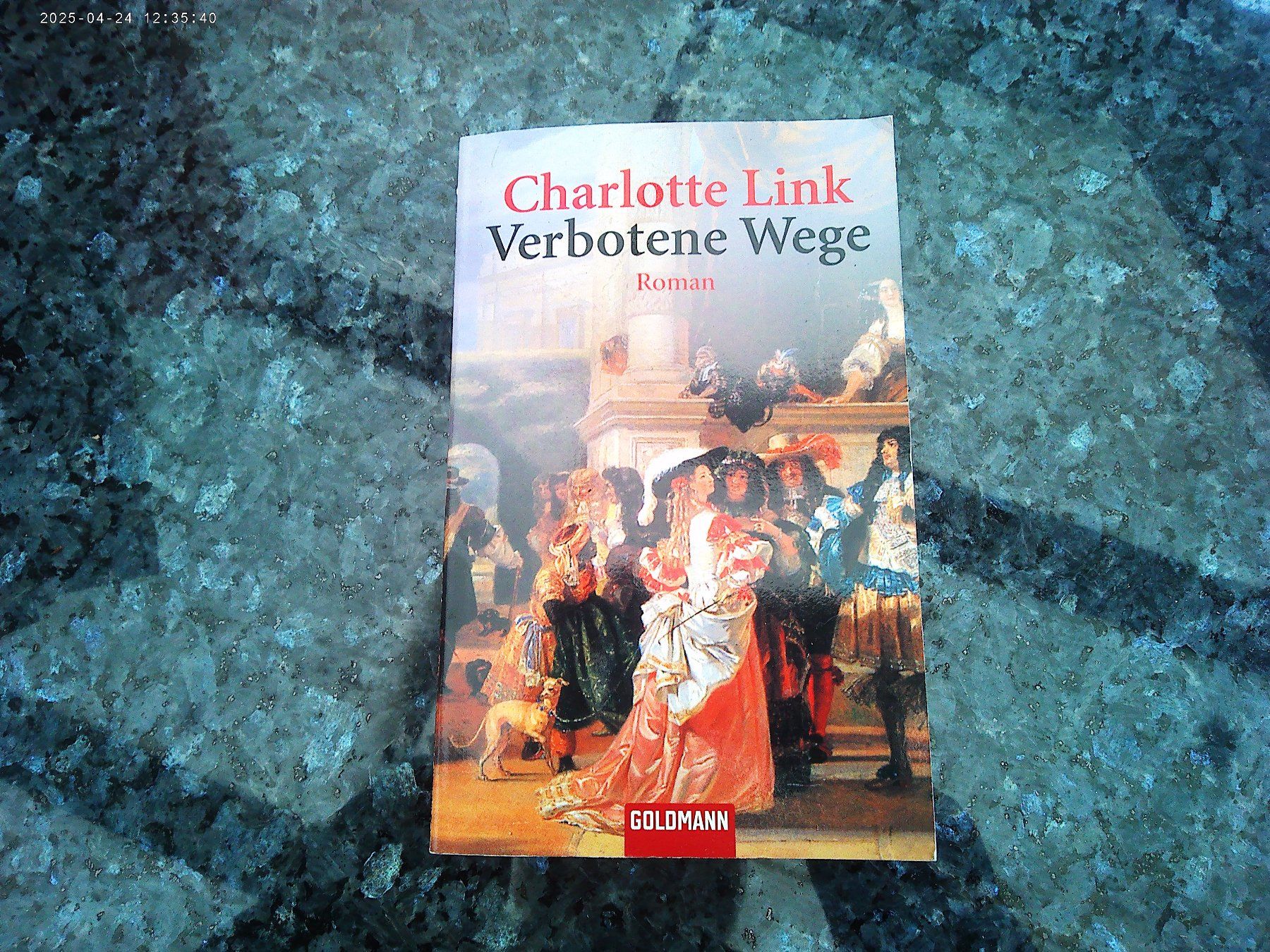 Libri: Verbotene Wege von Charlotte Link – Usato da reitnau venduto da Sib7