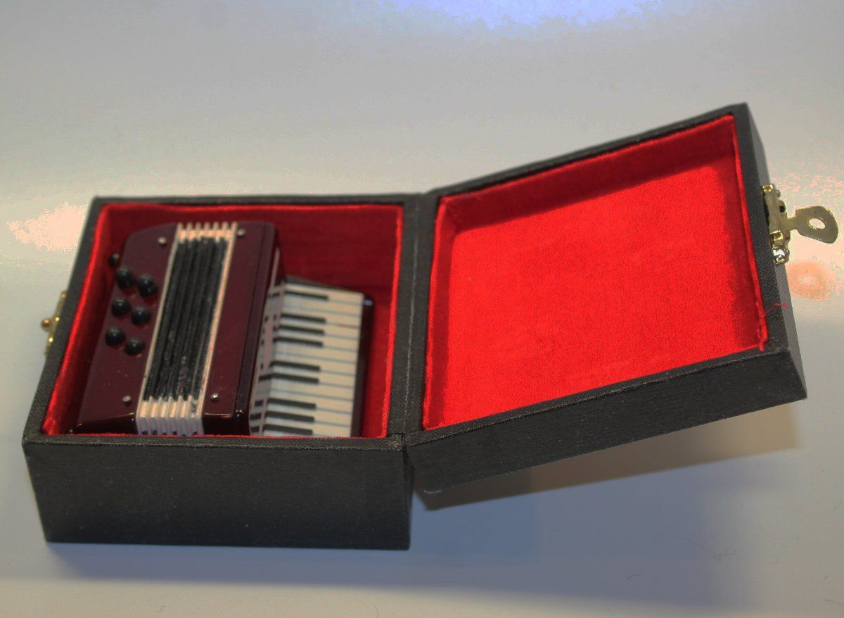 Strumenti musicali: Deko Handorgel mini mit Box - neu – Nuovo (secondo la descrizione) da Weggis venduto da Mylemontree 3