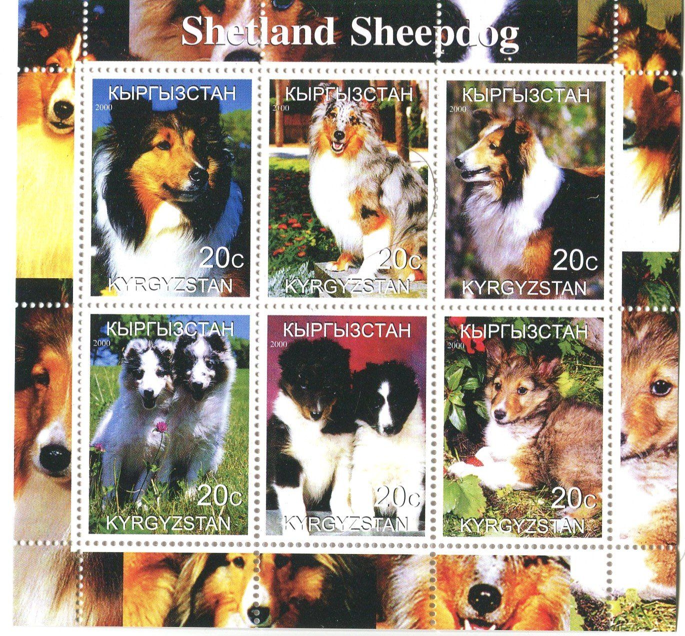 Tous les timbres: Block "Shetland Sheepdog". Kirgisistan – Neuf avec emballage d'origine à Basel par Butsch5