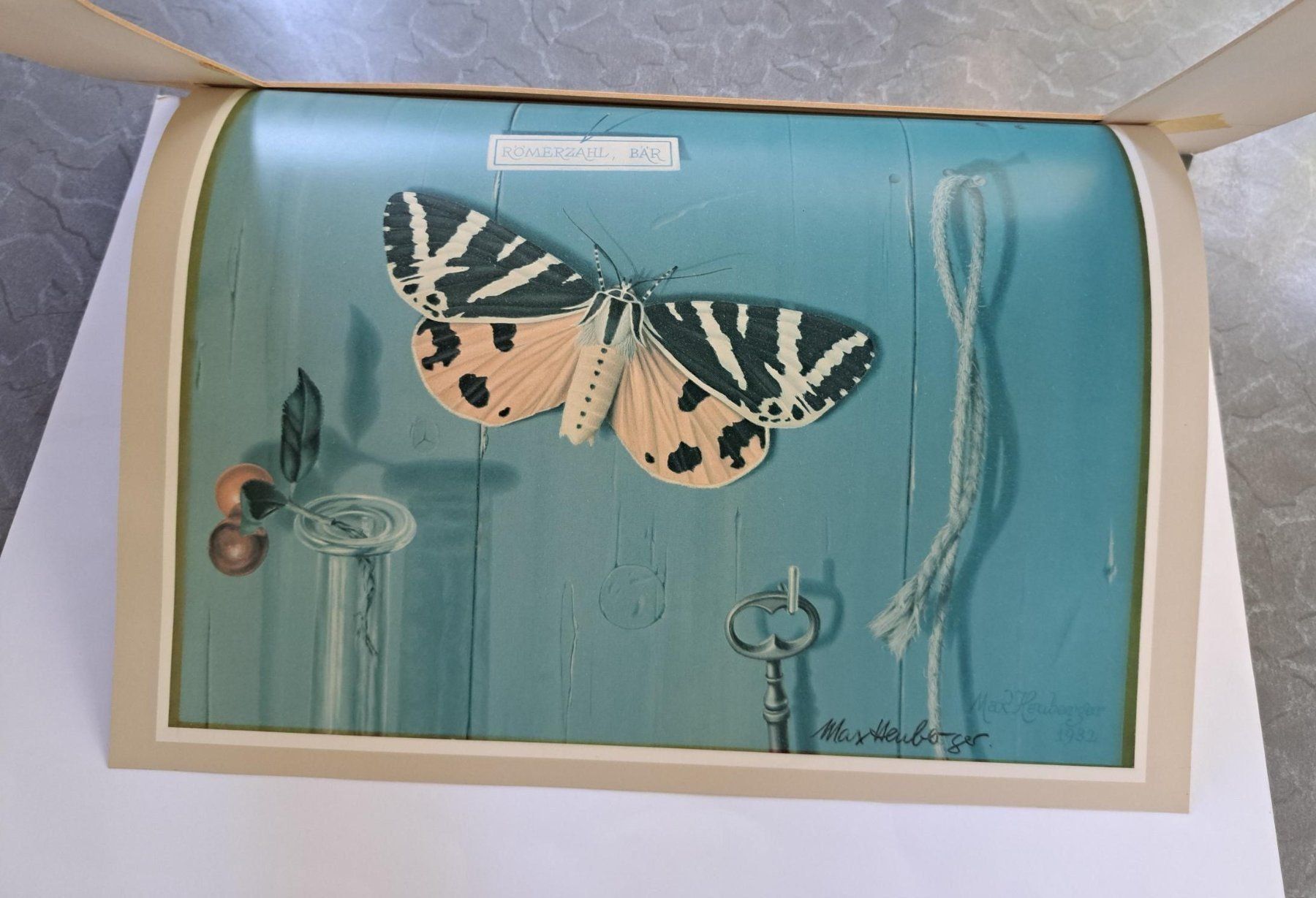 Foto & Immagini: Max Heuberger, Basel, Schmetterling: Römerzahl – Usato da Basel venduto da Patiscat 2