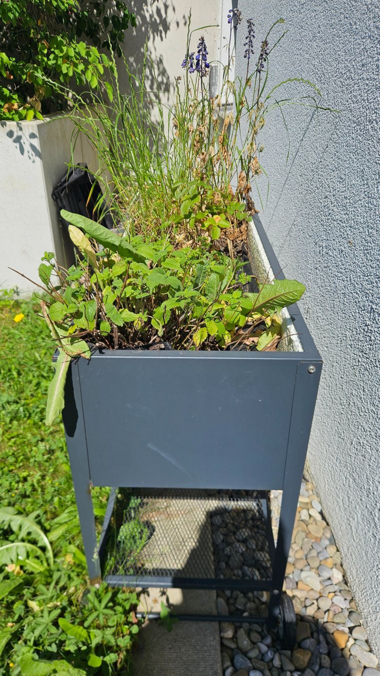Vasi per fiori: Hochbeet Metall – Usato da Bassersdorf venduto da Sunseekker1 2