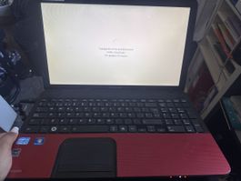 Top Toshiba Laptop - Ideal für Studenten & Home Office