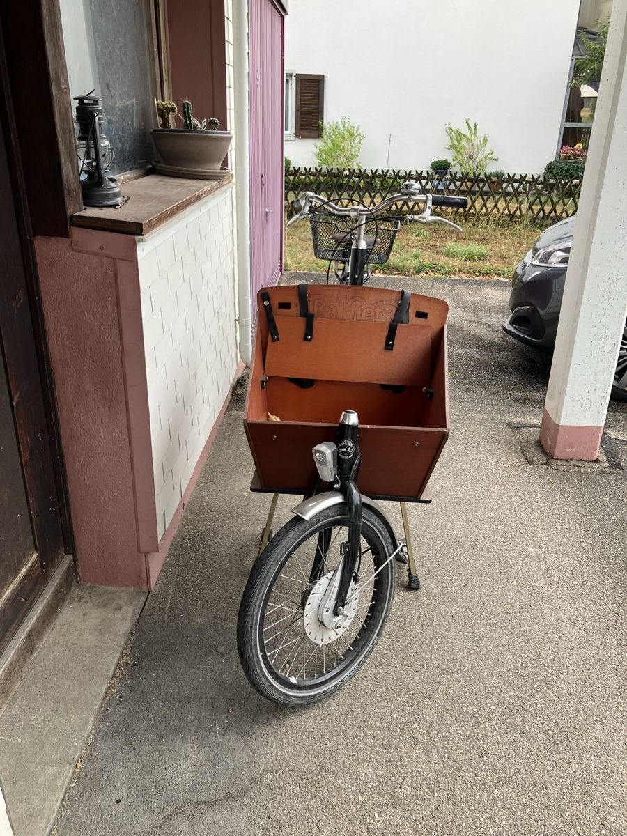 Velos: Cargobike/ Lastenrad – Gebraucht aus Orpund von Cari_ 1
