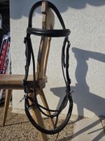 Ennasure à menton croisé taille cheval