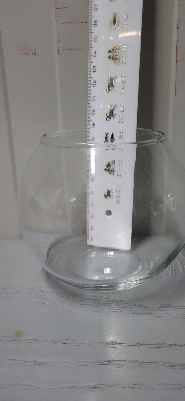 Tutte le decorazioni: 5 Glasvasen – Nuovo (secondo la descrizione) da Figino venduto da mayam63 5