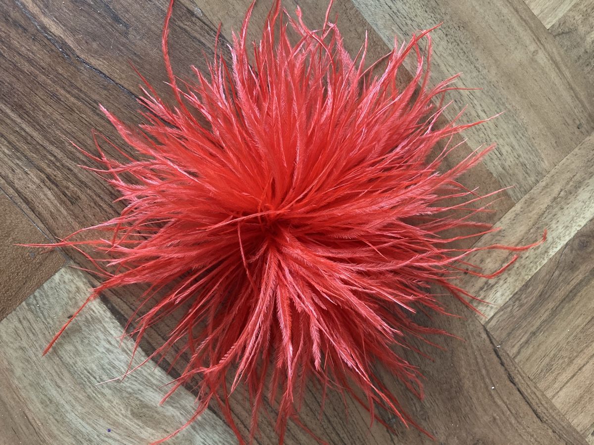 Accessoires pour cheveux: Haarschmuck Feder-Blüte rot neu – D'occasion à Zürich par Timbera
