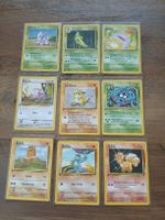 pokemon Karten 🇳🇱