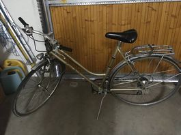 Damen-Velo