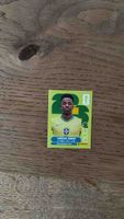 Sticker Vinicius Junior Brasil Panini gebraucht