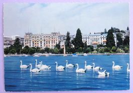 Ouchy-Lausanne, Le Palace et l'Hôtel Beau Rivage