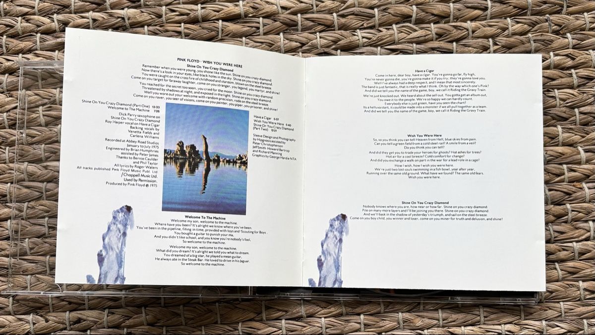 CD: Pink Floyd Wish You Were Here CD – Usato da Binningen venduto da Blofelds_cat 3