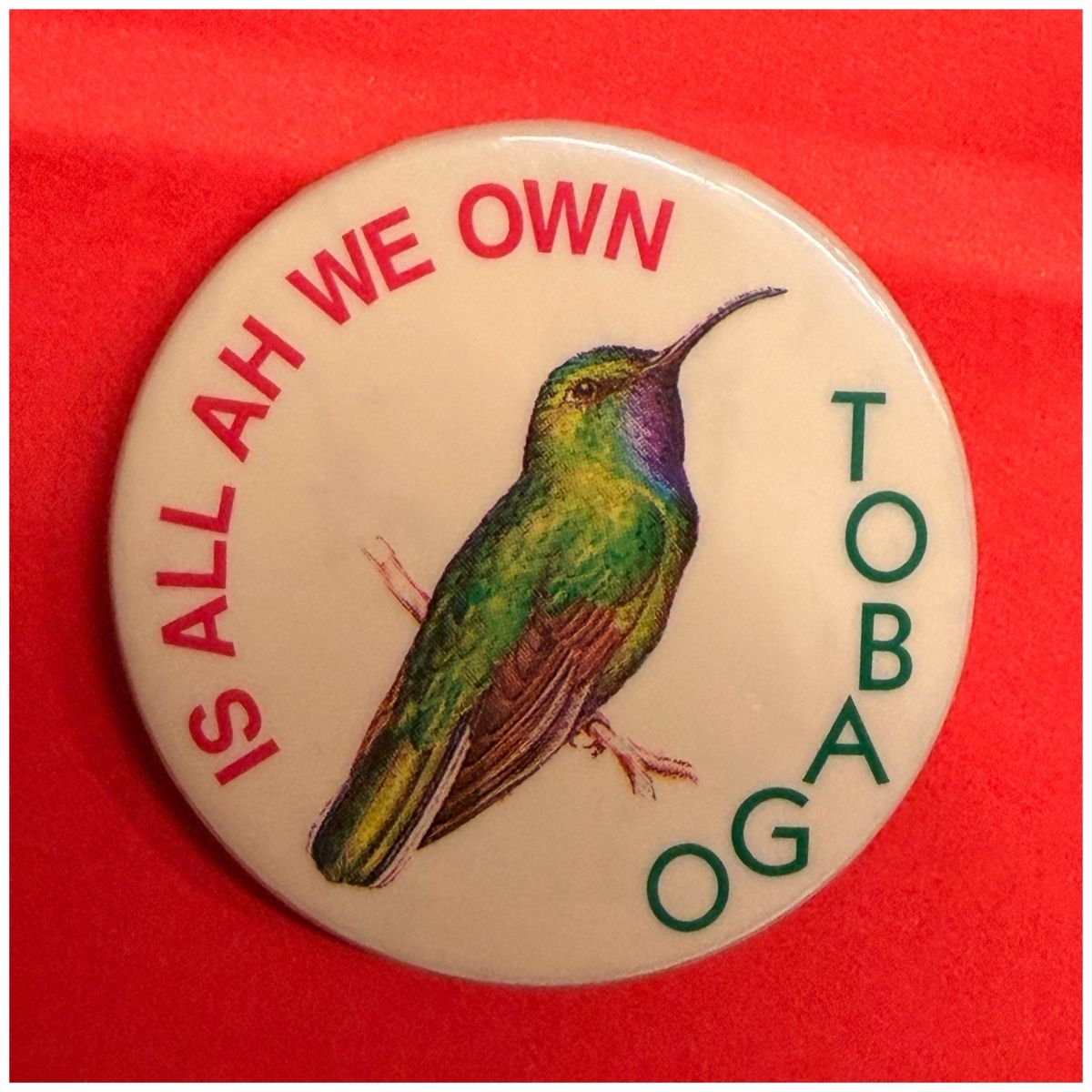 Plaketten & Abzeichen: Vintage-Button - Tobago-Kolibri-Ansteckbutton - 44 mm – Gebraucht aus Schlieren von RoPue