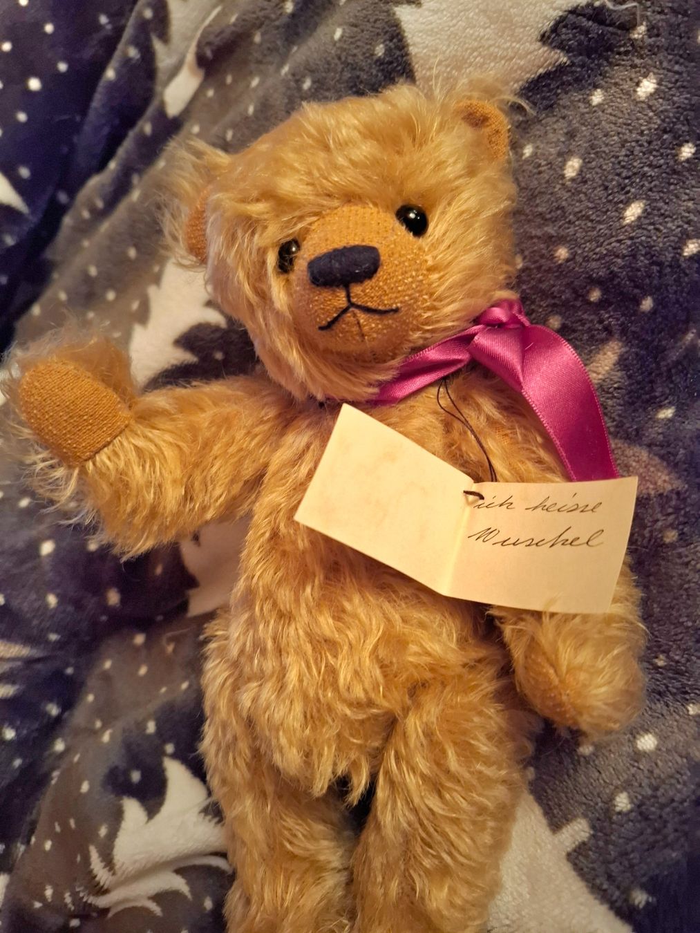 Giocattoli: BRIMA TEDDYBÄR WUSCHEL – Nuovo (secondo la descrizione) da Gretzenbach venduto da schibaya 2