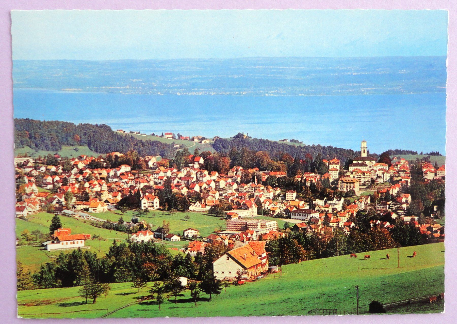 Ansichtskarten: Heiden 812 m ü.M. – Gebraucht aus Fétigny von Billy2miny
