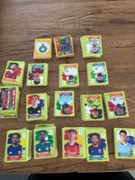 Vignettes PANINI