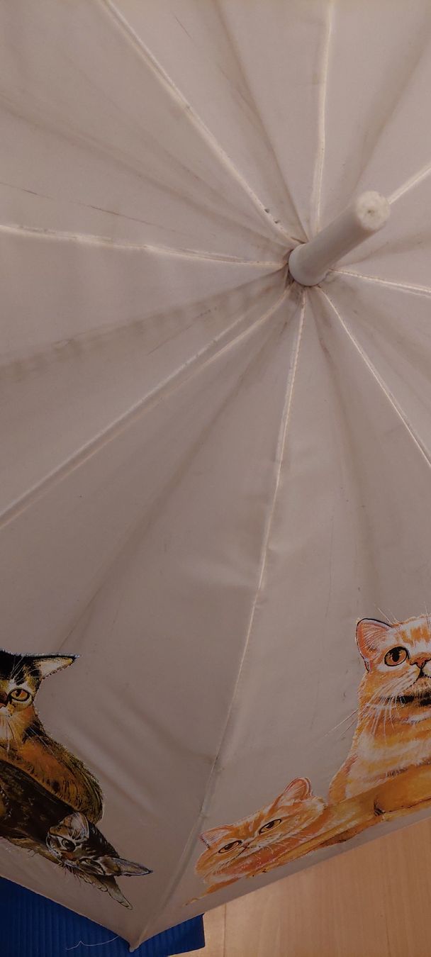 Ombrelli: Regenschirm mit Holzgriff und Katzenmotiven – Usato da Winterthur venduto da Catpaw 3