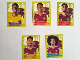W Cup 2026 Qatar N° 2, 7 ,8, 14 , 18
