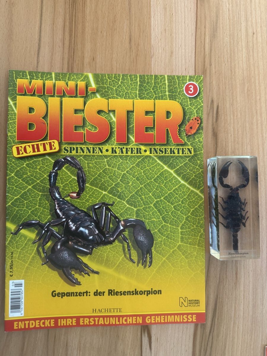 Riviste & Magazine: Mini Biester Heft und Block Nr. 3 – Usato da Grenchen venduto da Bastet007