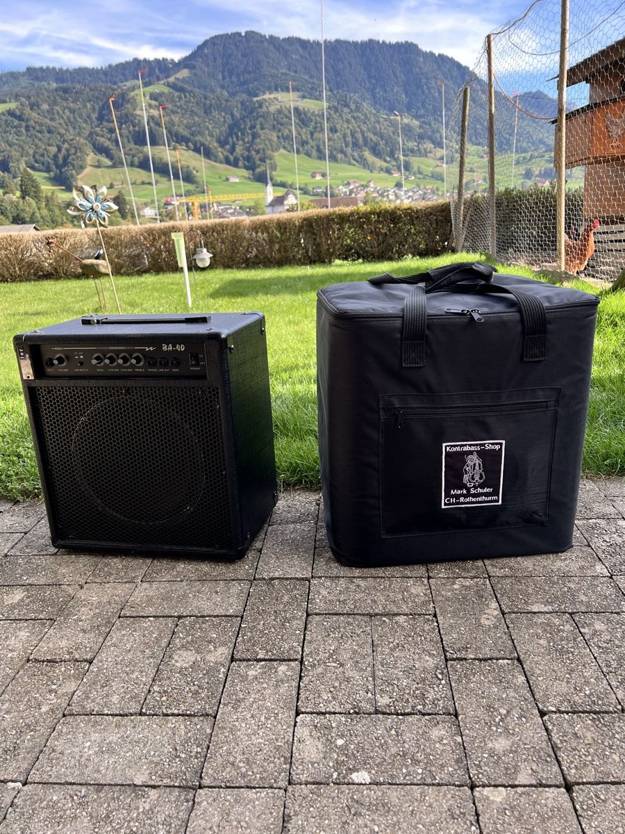 Strumenti musicali: E-Kontrabass 3/4 – Usato da Schüpfheim venduto da ukb5 6