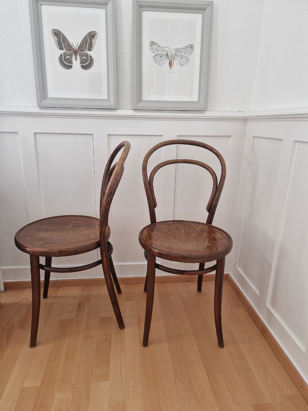 Thonet Stühle: 2 Thonet Stühle – Gebraucht aus St. Gallen von Sayuri 1