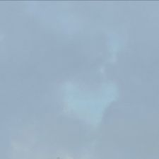 Profile image of May_qzd6