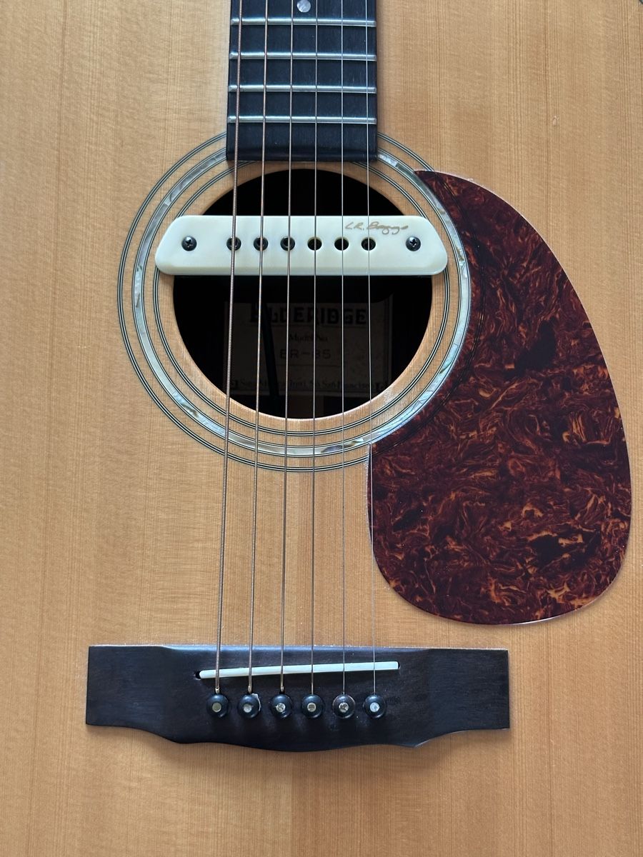 Strumenti musicali: Westerngitarre Blueridge, Modell BR-85 – Usato da Bern venduto da smokestack 4