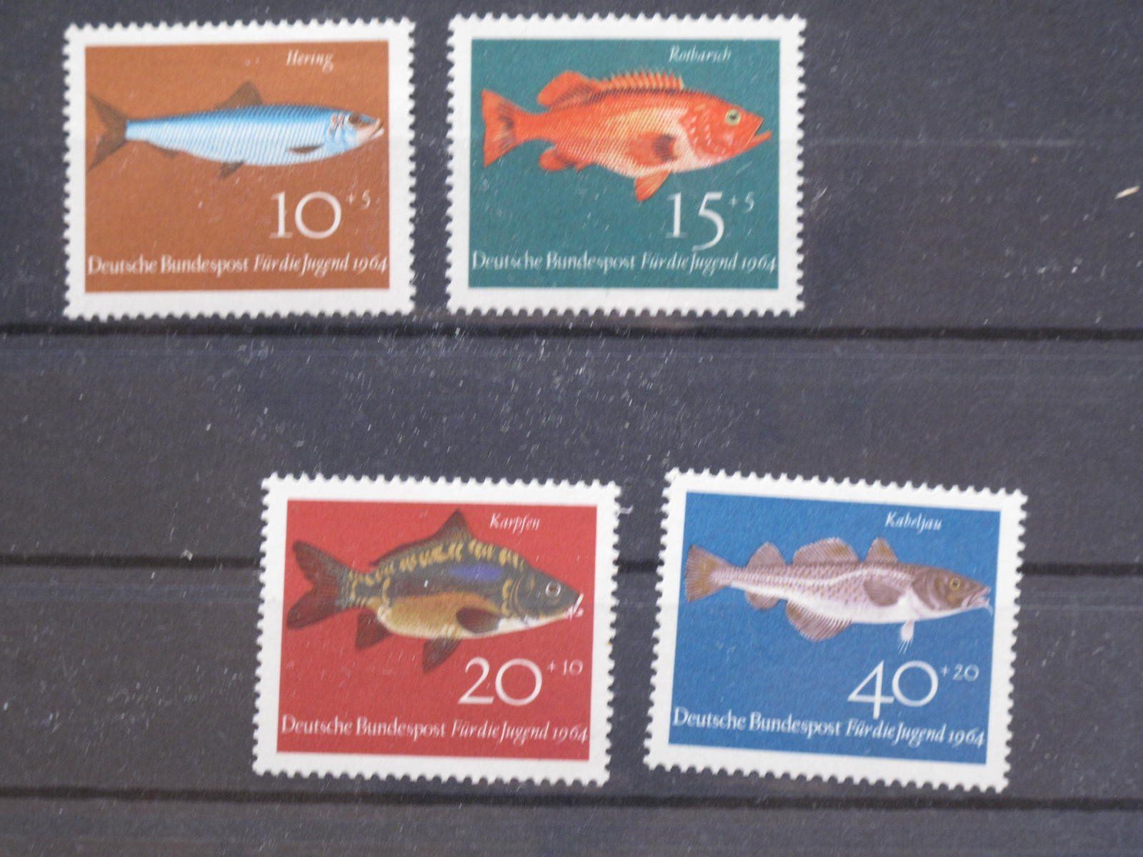 Tutti i francobolli: BRD 1964 Fische ** – Usato da Wil SG venduto da fva01