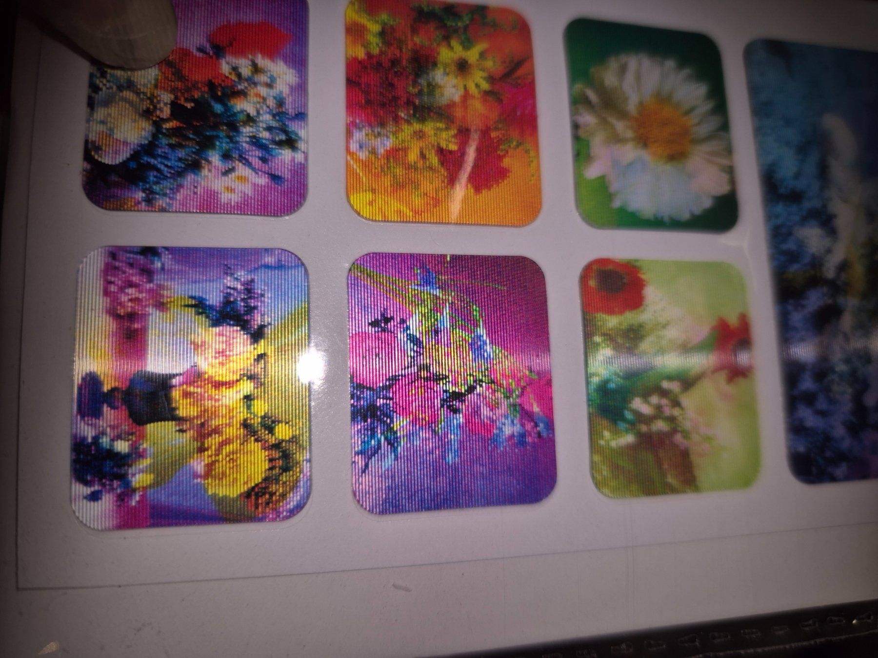 Sticker: 36  2D Blumen Stickers💐 – Nuovo e nell'imballaggio originale da Schwarzenburg venduto da flamingo1970 2