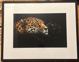 Ebony und Lvory Bild von Yellowcorner