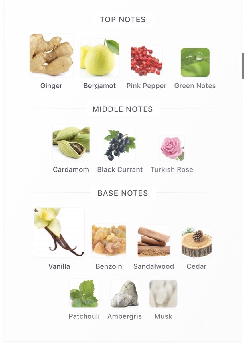 Nishane Profumi & Eau de Toilette: Nishane Ani Extrait de Parfum 50ml – Usato da Zürich venduto da Thetimtam 4