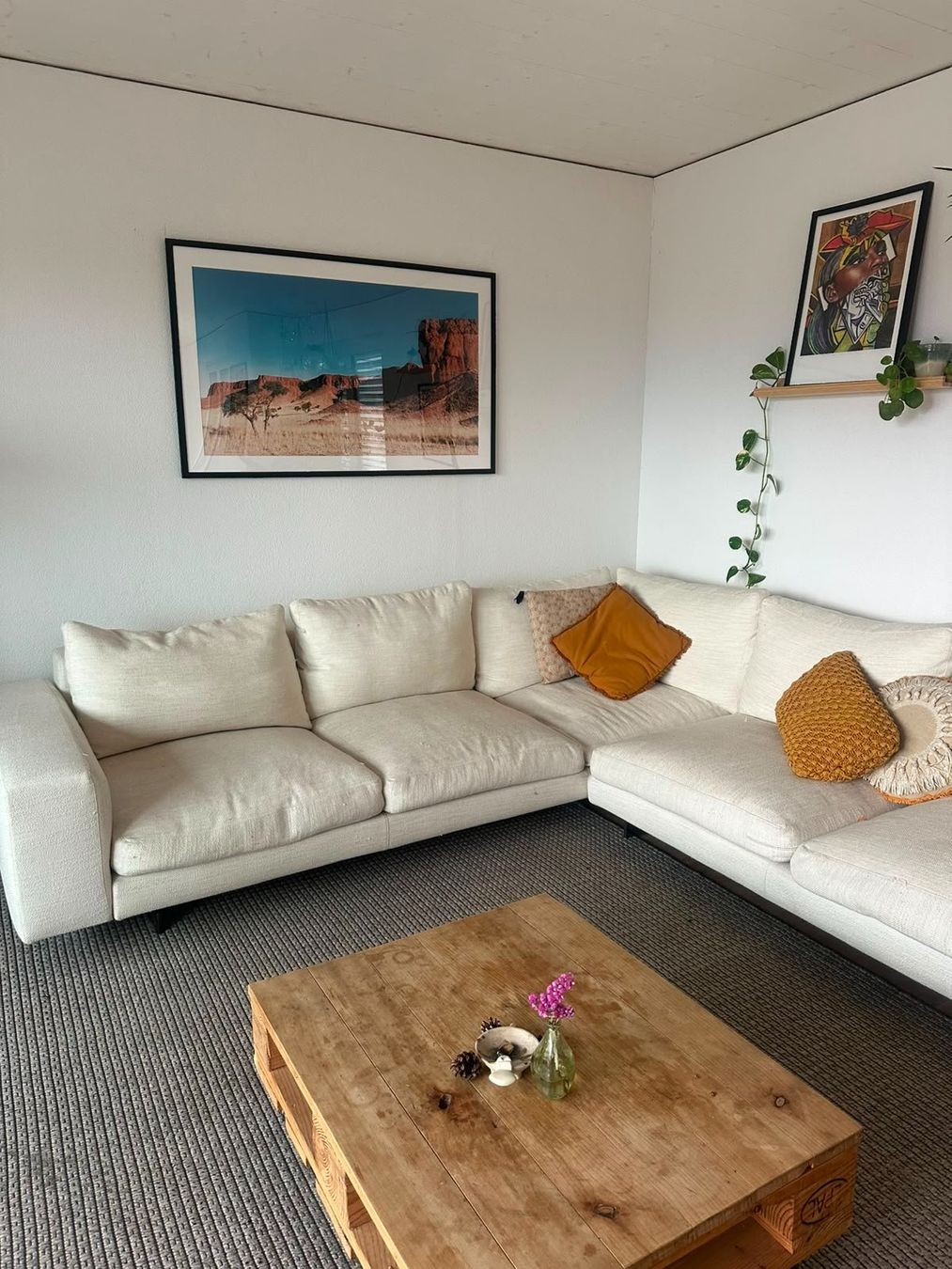 Sofas: Designer-Sofa von Désirée – Gebraucht aus Zürich von funkyou 2